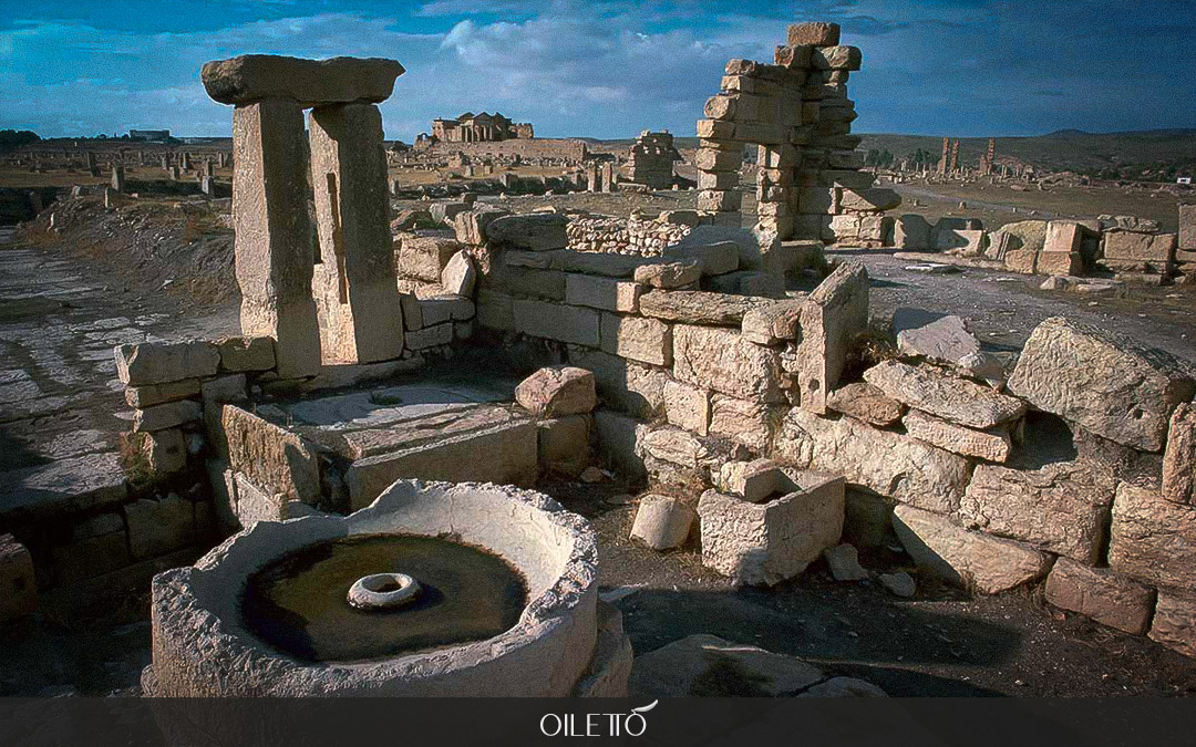 تاریخچه روغن زیتون : دستگاه روغن گیری در دوران روم باستان