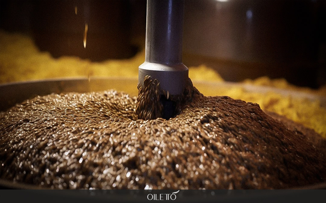 آشنایی با انواع روغن زیتون : تفاوت‌های روغن زیتون فرابکر، بکر، تصفیه شده